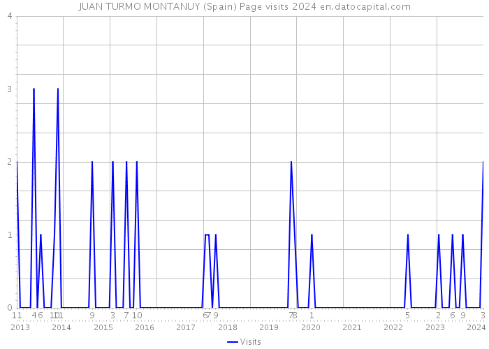 JUAN TURMO MONTANUY (Spain) Page visits 2024 