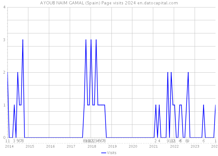 AYOUB NAIM GAMAL (Spain) Page visits 2024 
