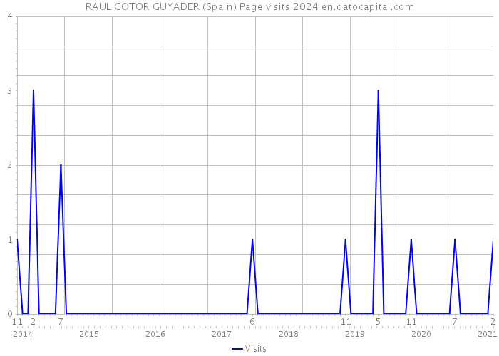 RAUL GOTOR GUYADER (Spain) Page visits 2024 