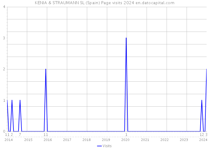 KENIA & STRAUMANN SL (Spain) Page visits 2024 