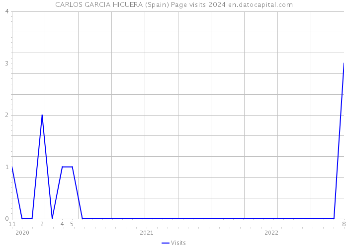 CARLOS GARCIA HIGUERA (Spain) Page visits 2024 