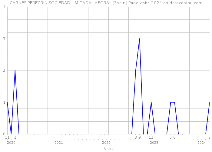 CARNES PEREGRIN SOCIEDAD LIMITADA LABORAL (Spain) Page visits 2024 