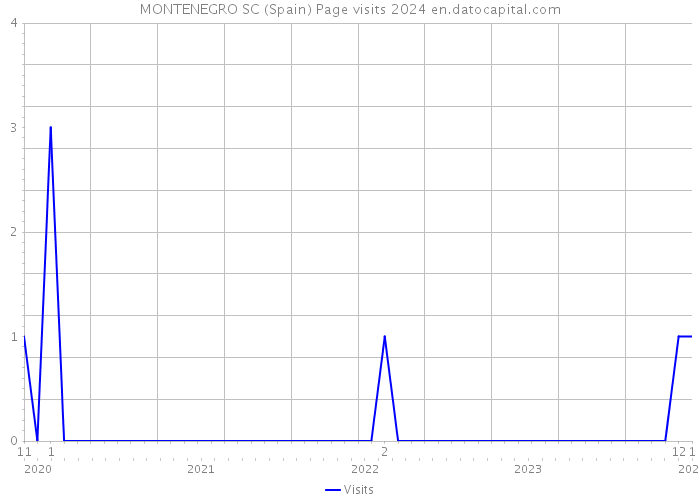 MONTENEGRO SC (Spain) Page visits 2024 