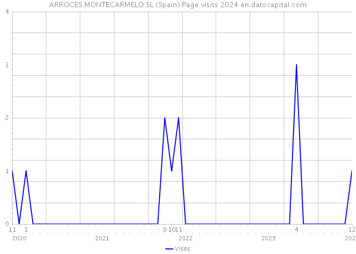 ARROCES MONTECARMELO SL (Spain) Page visits 2024 