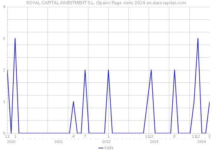 ROYAL CAPITAL INVESTMENT S.L. (Spain) Page visits 2024 