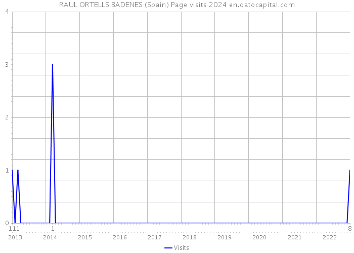 RAUL ORTELLS BADENES (Spain) Page visits 2024 