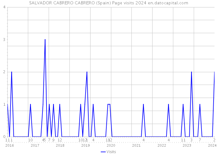 SALVADOR CABRERO CABRERO (Spain) Page visits 2024 