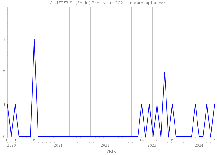 CLUSTER SL (Spain) Page visits 2024 