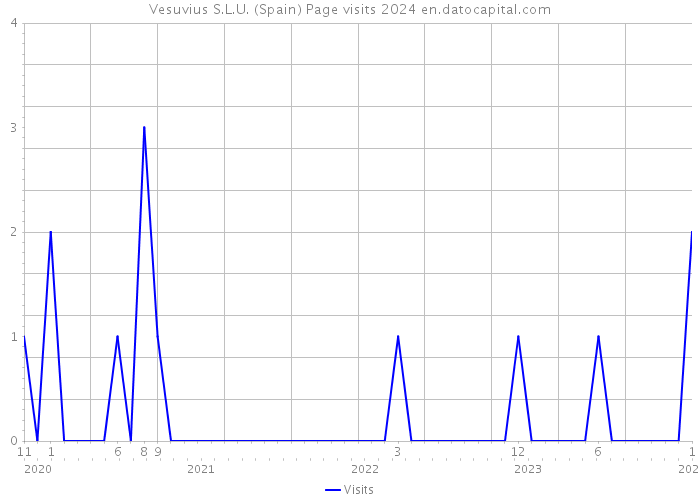 Vesuvius S.L.U. (Spain) Page visits 2024 
