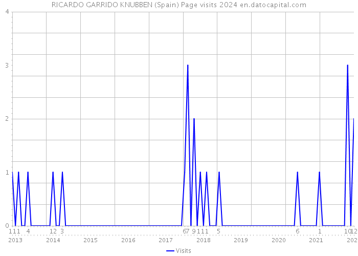 RICARDO GARRIDO KNUBBEN (Spain) Page visits 2024 