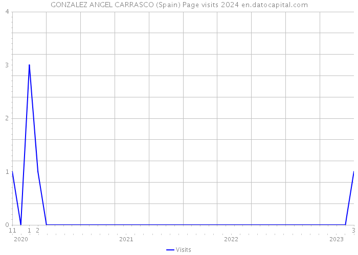 GONZALEZ ANGEL CARRASCO (Spain) Page visits 2024 