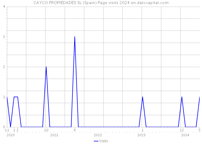 CAYCO PROPIEDADES SL (Spain) Page visits 2024 