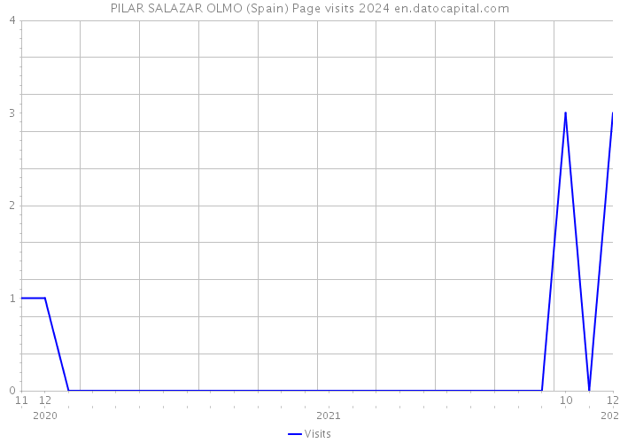 PILAR SALAZAR OLMO (Spain) Page visits 2024 