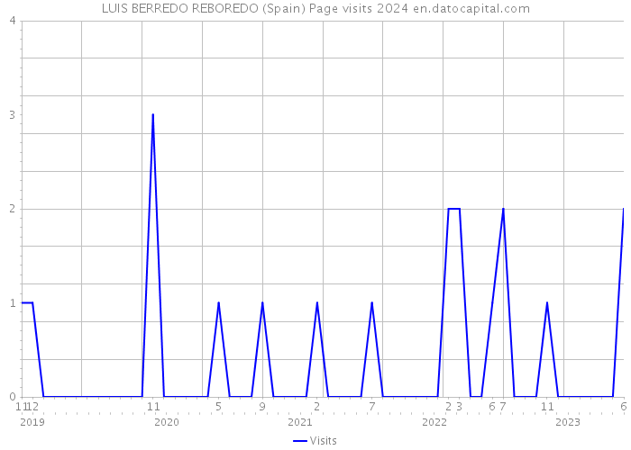LUIS BERREDO REBOREDO (Spain) Page visits 2024 