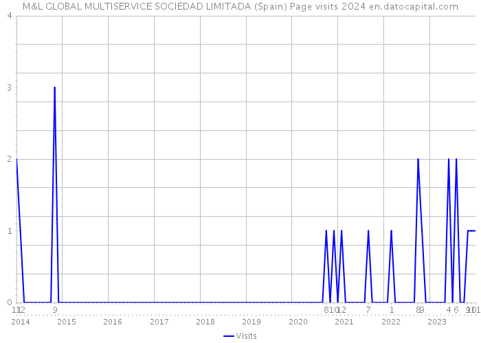 M&L GLOBAL MULTISERVICE SOCIEDAD LIMITADA (Spain) Page visits 2024 