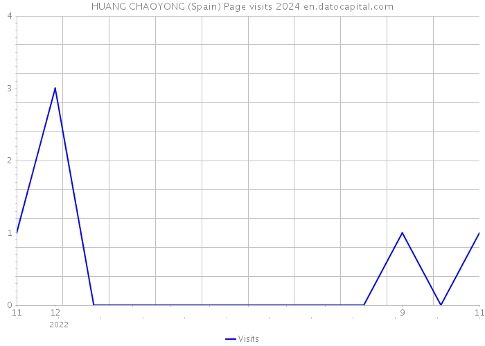 HUANG CHAOYONG (Spain) Page visits 2024 