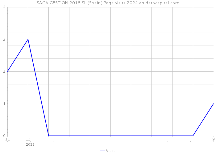 SAGA GESTION 2018 SL (Spain) Page visits 2024 