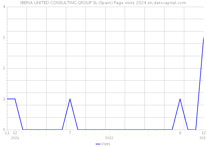 IBERIA UNITED CONSULTING GROUP SL (Spain) Page visits 2024 