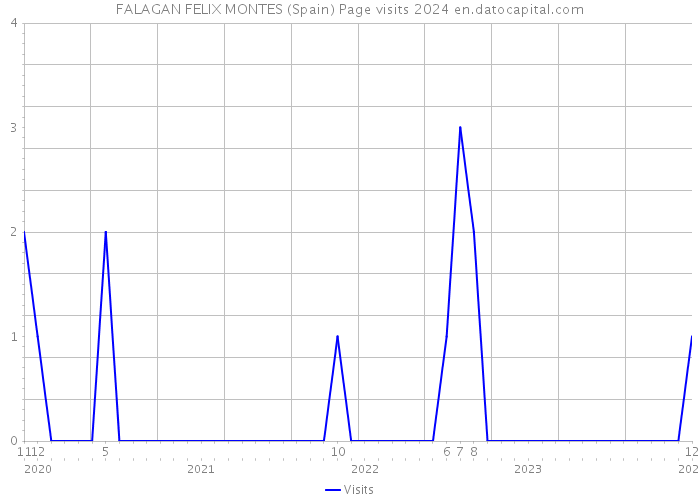 FALAGAN FELIX MONTES (Spain) Page visits 2024 