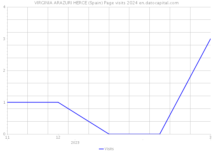 VIRGINIA ARAZURI HERCE (Spain) Page visits 2024 