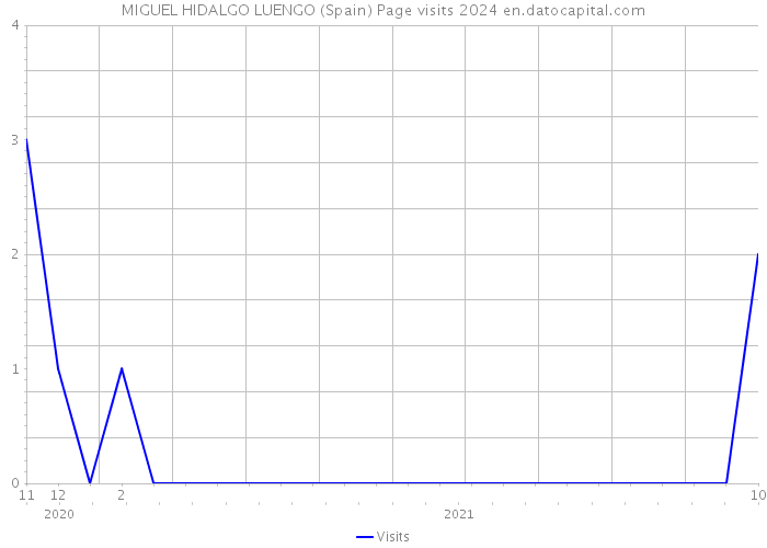 MIGUEL HIDALGO LUENGO (Spain) Page visits 2024 