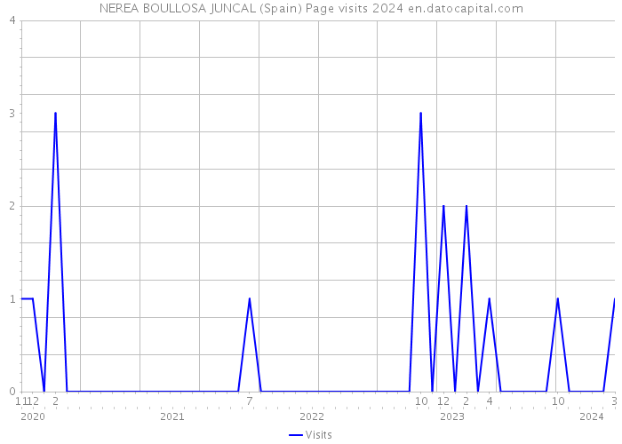 NEREA BOULLOSA JUNCAL (Spain) Page visits 2024 