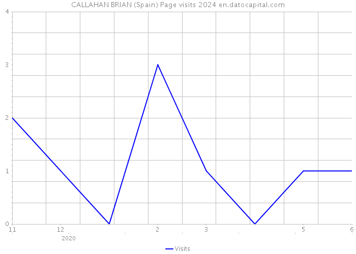 CALLAHAN BRIAN (Spain) Page visits 2024 