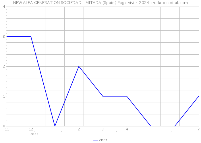 NEW ALFA GENERATION SOCIEDAD LIMITADA (Spain) Page visits 2024 