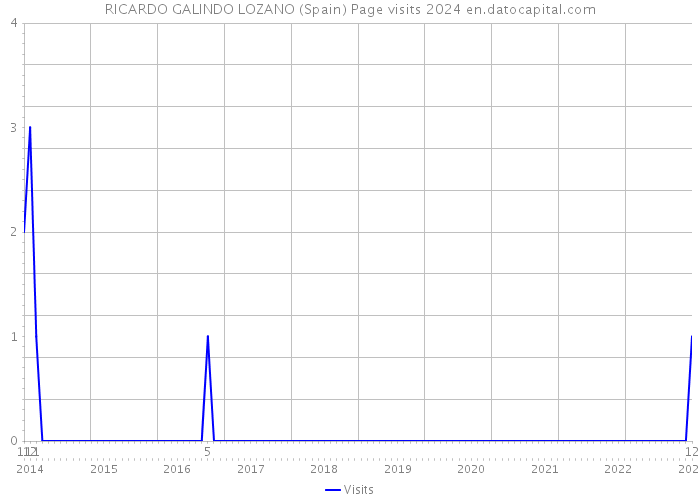RICARDO GALINDO LOZANO (Spain) Page visits 2024 
