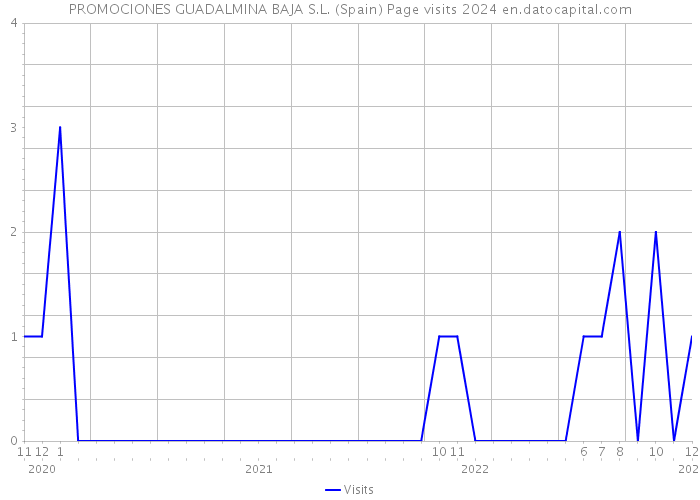 PROMOCIONES GUADALMINA BAJA S.L. (Spain) Page visits 2024 