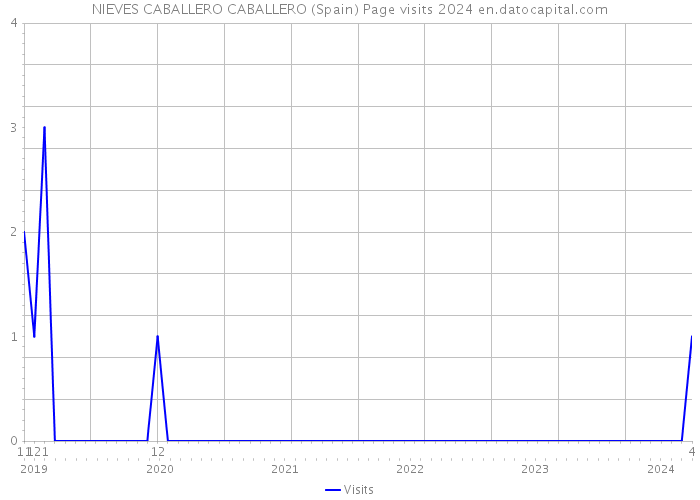 NIEVES CABALLERO CABALLERO (Spain) Page visits 2024 
