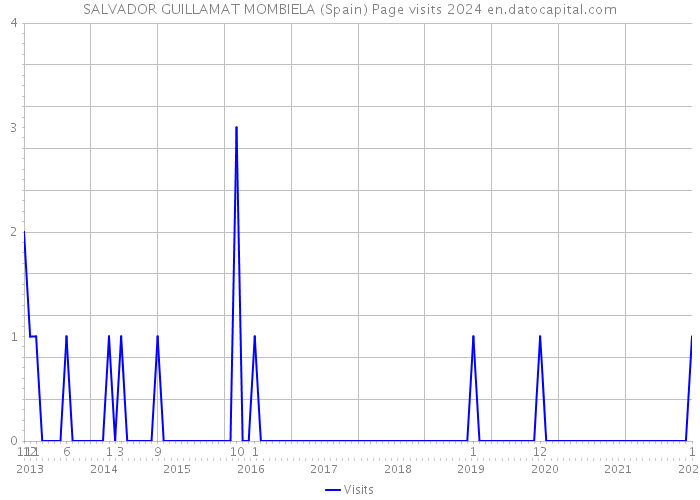 SALVADOR GUILLAMAT MOMBIELA (Spain) Page visits 2024 