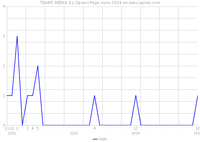 TEAM5 MEDIA S.L (Spain) Page visits 2024 
