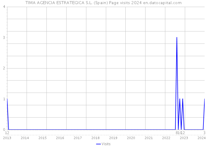 TIMA AGENCIA ESTRATEGICA S.L. (Spain) Page visits 2024 