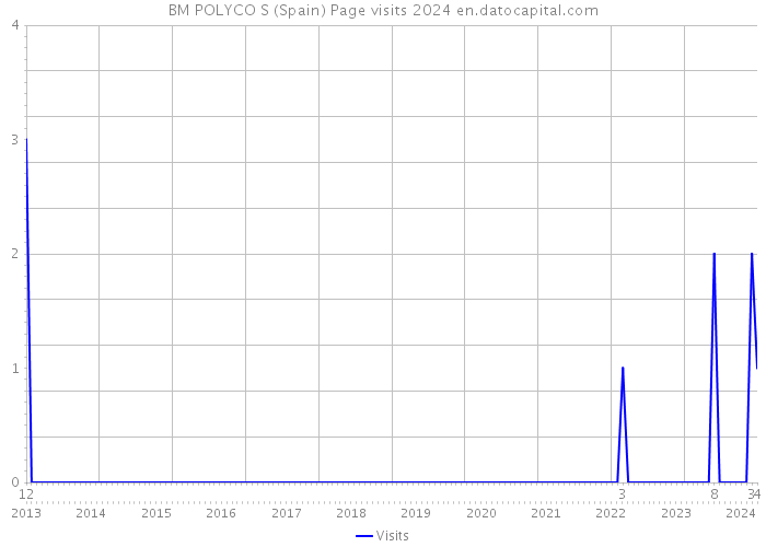BM POLYCO S (Spain) Page visits 2024 