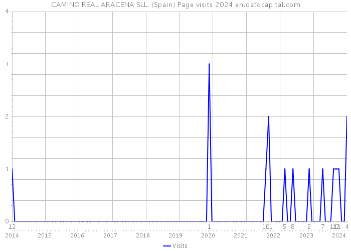 CAMINO REAL ARACENA SLL. (Spain) Page visits 2024 