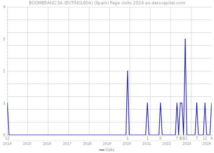 BOOMERANG SA (EXTINGUIDA) (Spain) Page visits 2024 