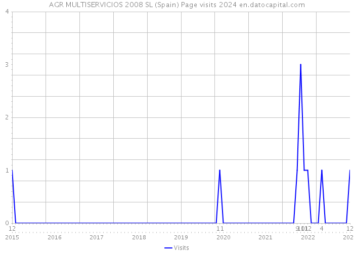 AGR MULTISERVICIOS 2008 SL (Spain) Page visits 2024 