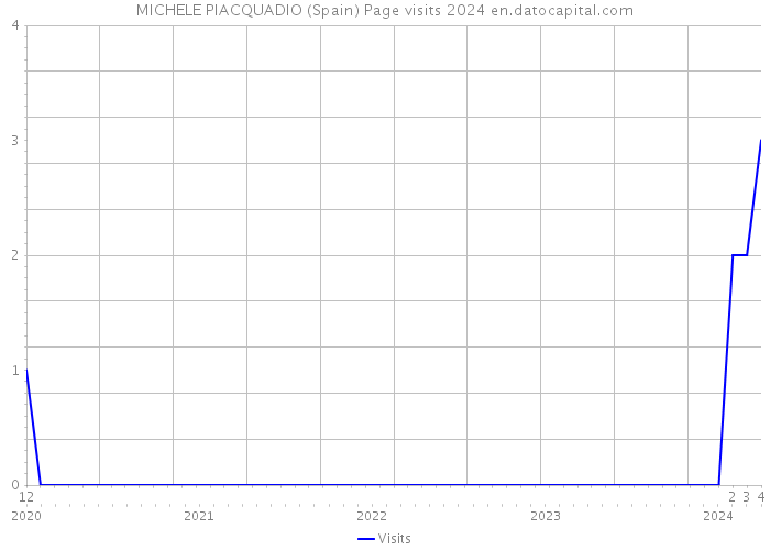 MICHELE PIACQUADIO (Spain) Page visits 2024 
