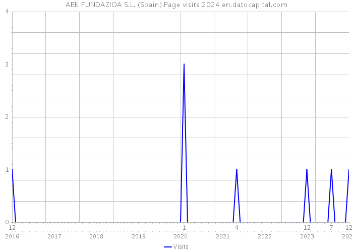 AEK FUNDAZIOA S.L. (Spain) Page visits 2024 