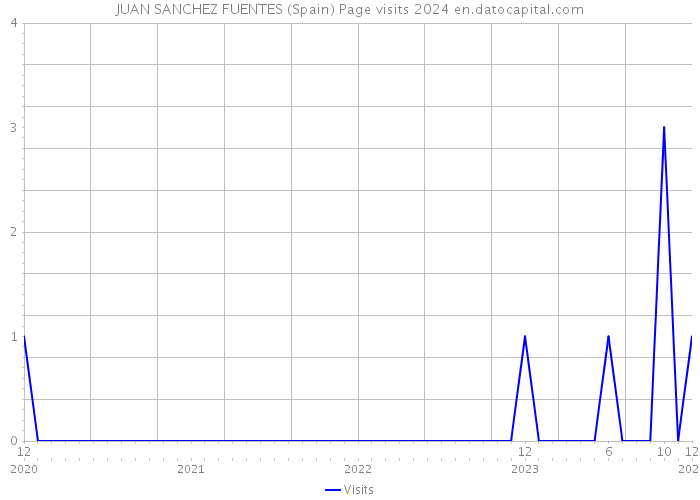 JUAN SANCHEZ FUENTES (Spain) Page visits 2024 