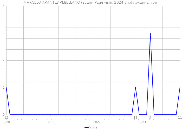MARCELO ARANTES REBELLANO (Spain) Page visits 2024 
