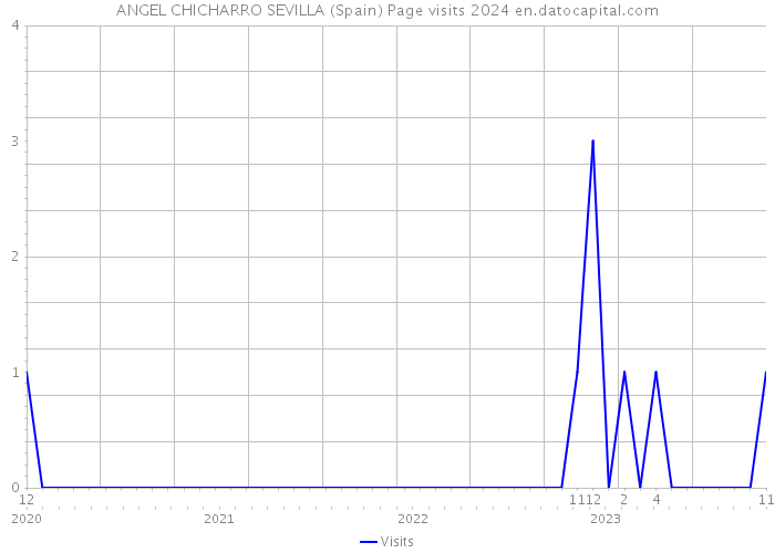 ANGEL CHICHARRO SEVILLA (Spain) Page visits 2024 