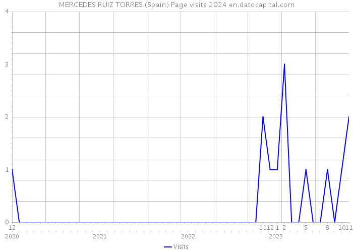 MERCEDES RUIZ TORRES (Spain) Page visits 2024 