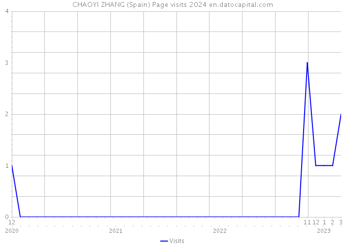 CHAOYI ZHANG (Spain) Page visits 2024 