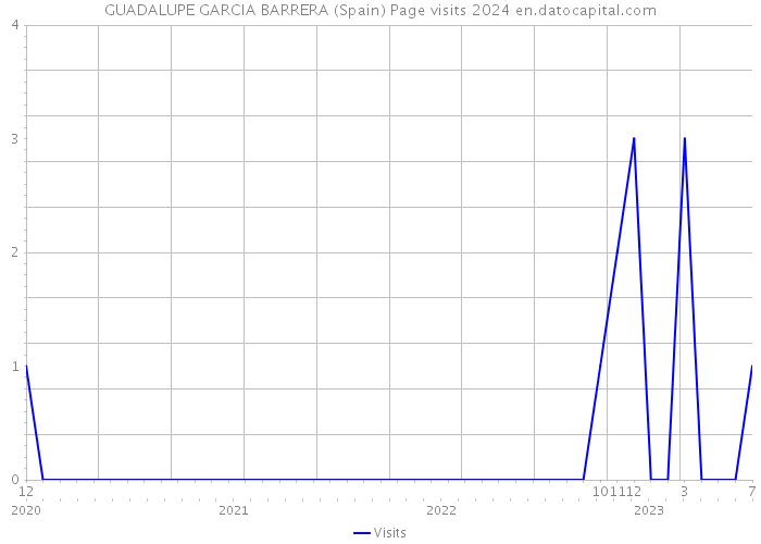 GUADALUPE GARCIA BARRERA (Spain) Page visits 2024 