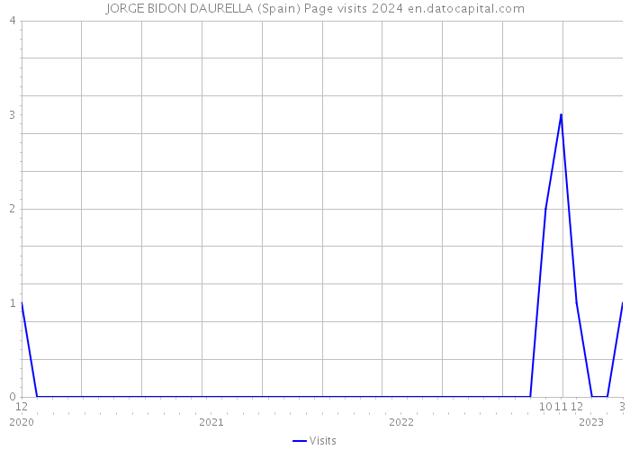 JORGE BIDON DAURELLA (Spain) Page visits 2024 