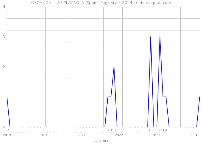 OSCAR SALINAS PLAZAOLA (Spain) Page visits 2024 