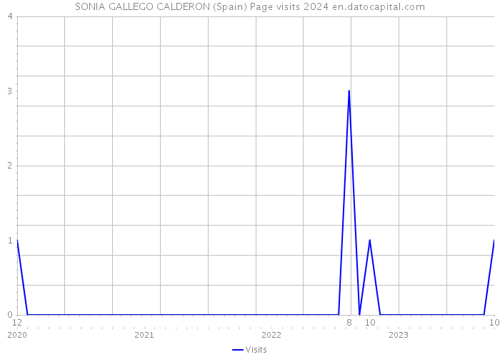 SONIA GALLEGO CALDERON (Spain) Page visits 2024 