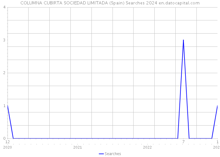 COLUMNA CUBIRTA SOCIEDAD LIMITADA (Spain) Searches 2024 